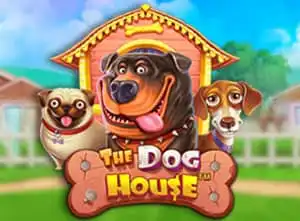 The Dog House